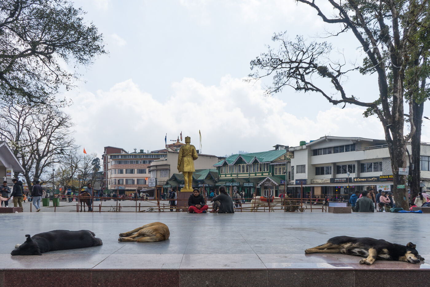 Chowrasta Mall Road Darjeeling